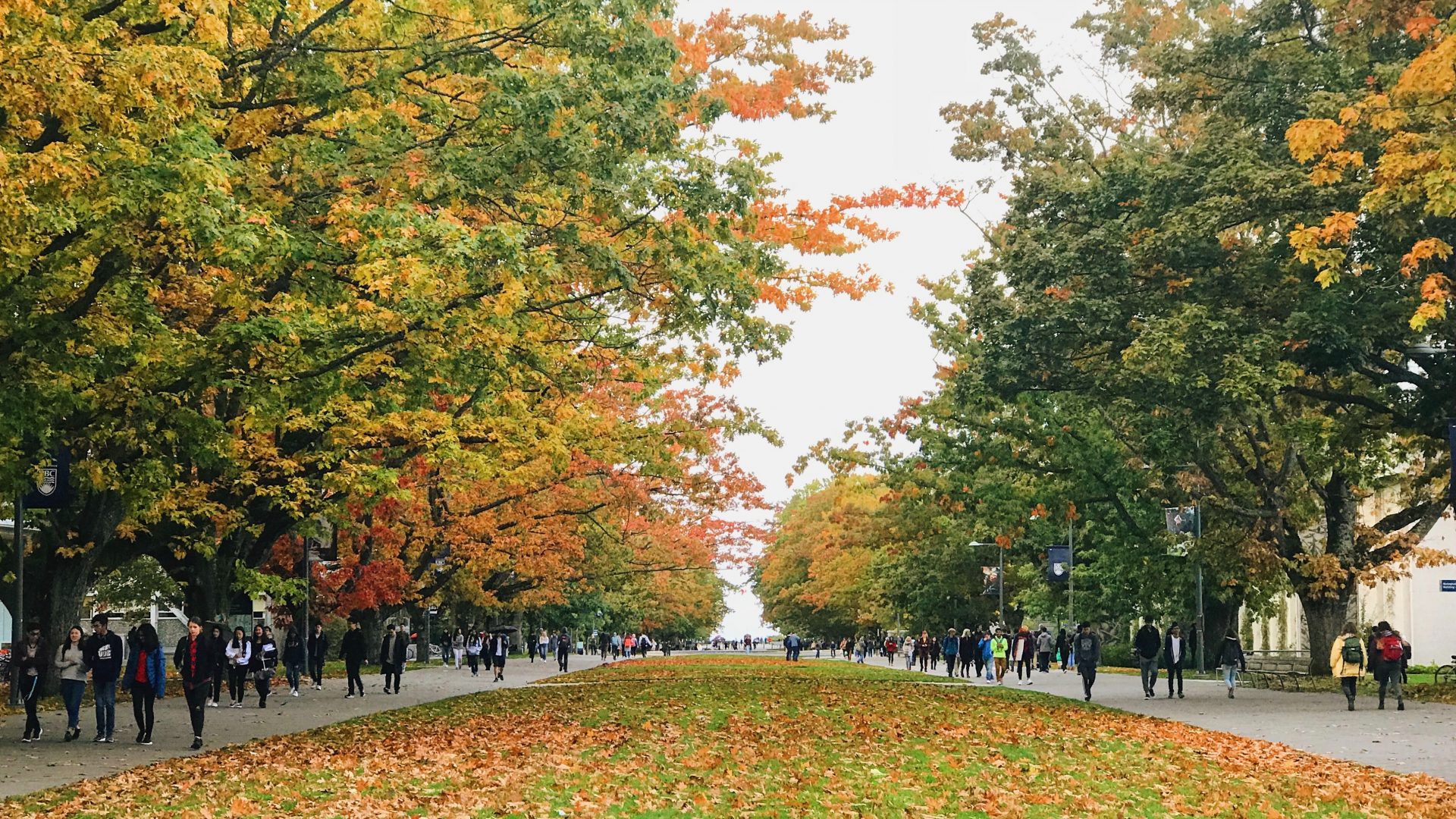 campus della University of British Columbia di Vancouver, Canada con foglie autunnali